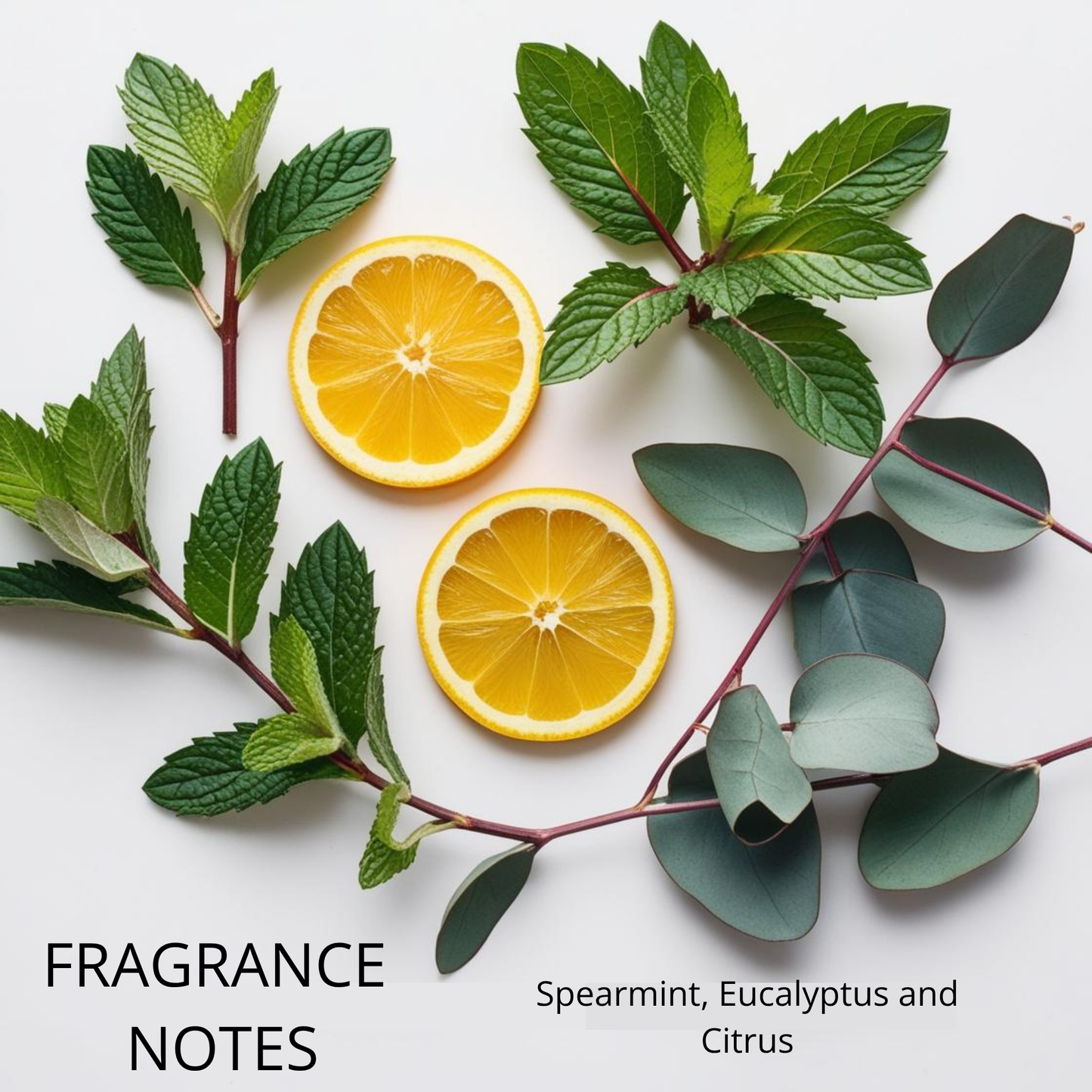 Herbal Zest Oasis Bar Soap